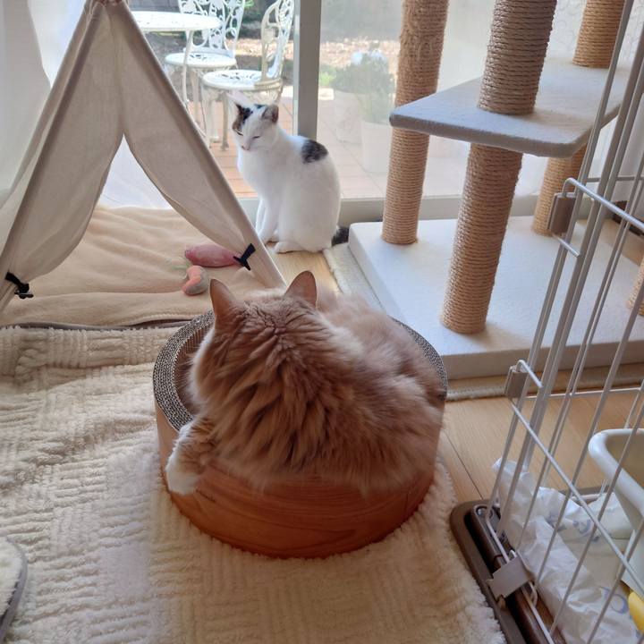 6dec6b78 14e2 4026 95d1 2e255b9ad82f 1698025155537