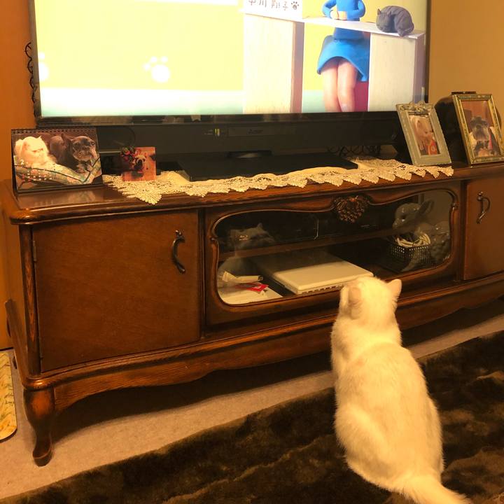 6ded0177 3629 4dda 8626 62f2676c2276 1582947150032