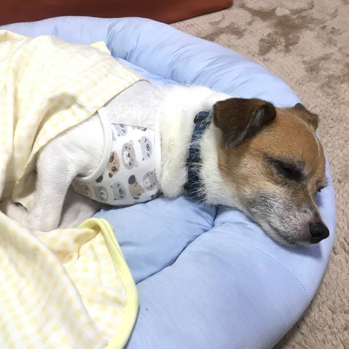 6ded8d87 6215 448c a4d7 6094c04a55bf 1535719164337