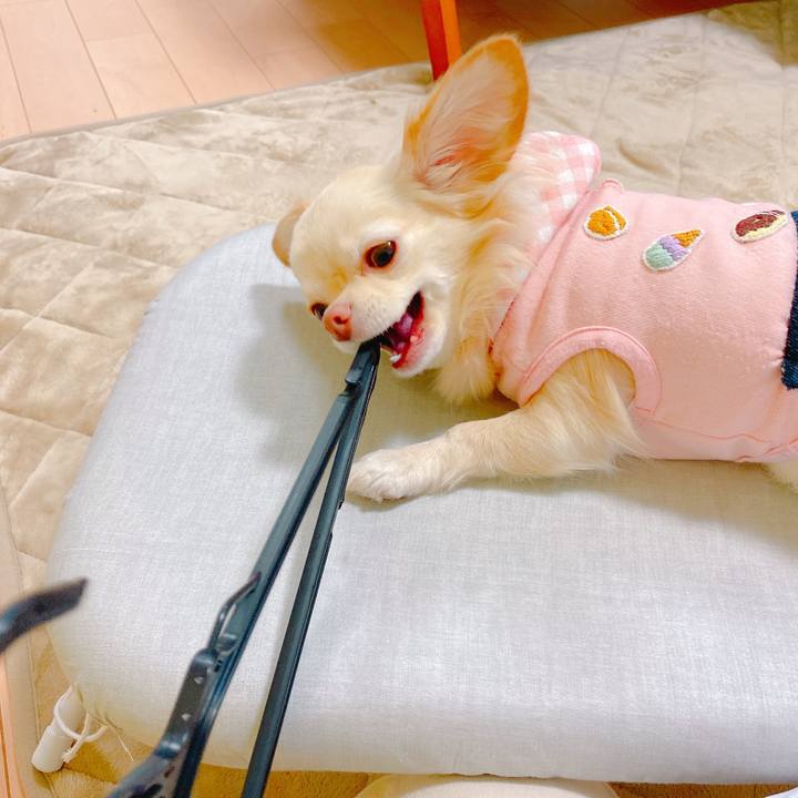 6dedd04f 9ffd 42db 8fef 32c38be55db9 1637584935988