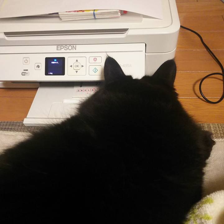 6dee2432 d97b 4f93 8d8d 9d032e069b2a 1577192593060