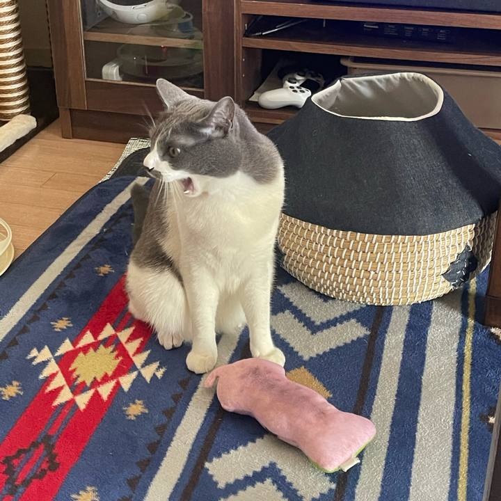 6dee391d 2f5b 413c 8261 27fe35826841 1679198154169