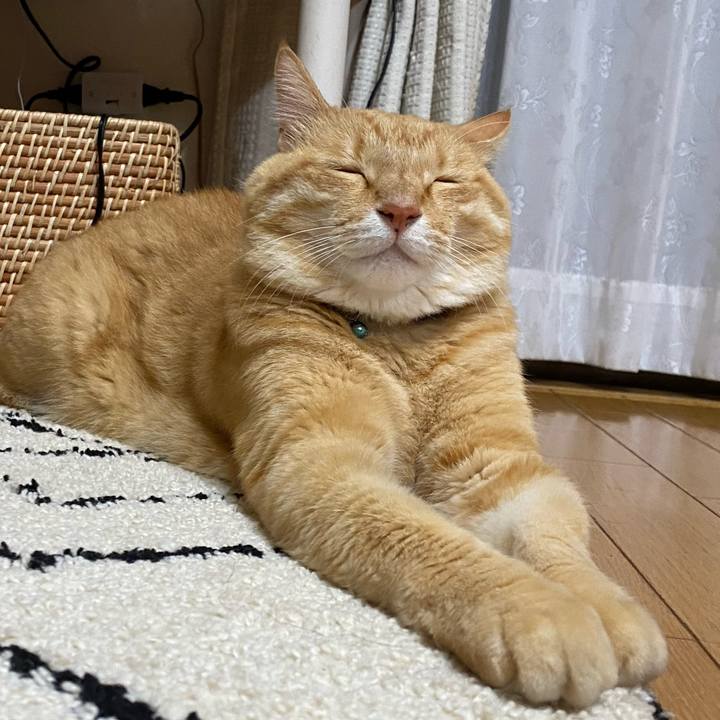 6dee7ba7 ab92 4818 b377 3db4724ed579 1658927344718