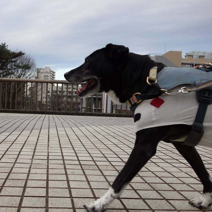 6dee7bc0 07c7 4e53 85cf ba828d613ac8 1739665794011