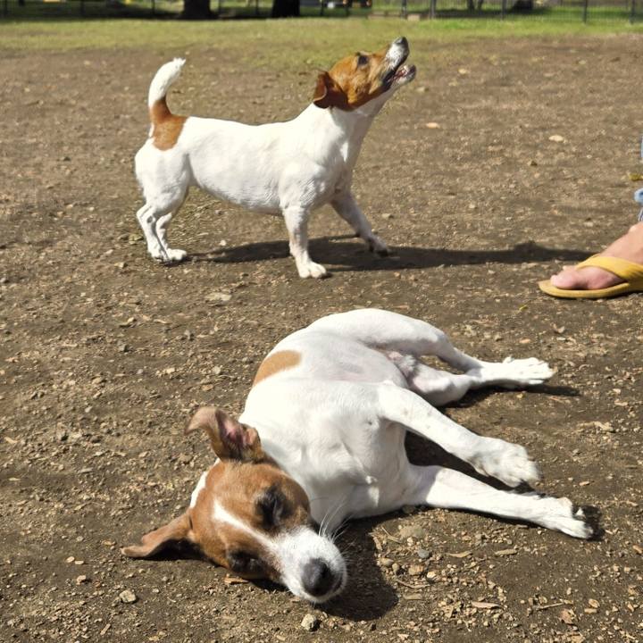 6def295b 8480 4fcd adf8 37d4c5fb4e3a 1761965658218