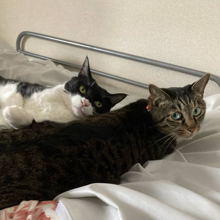 6def6118 0103 4f56 9419 c167c98c26fd 1746011777827