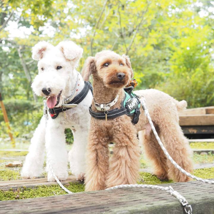 6def943e 176e 4cf0 8b59 105cc8dc09b1 1604127262443