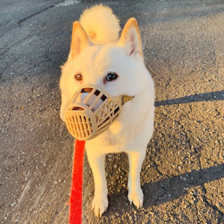 6def9f86 cd8a 4d1c 990d 9a78ba37e6e7 1597696171144