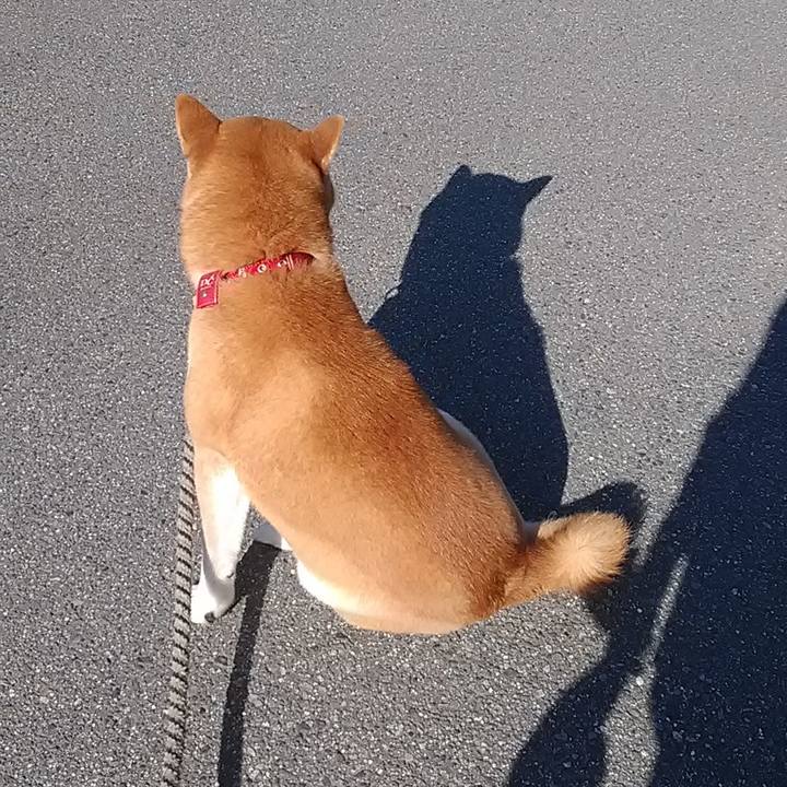 6defa808 3750 427e 80ea 44dbe035da58 1597625201721