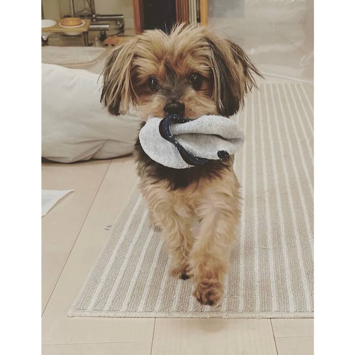 6defb483 f58e 47d3 a0dd 3c127a6ed259 1680668112996