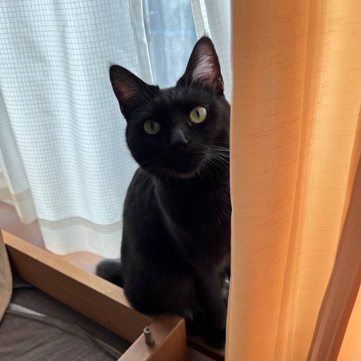 6defe23c 87a2 43f2 9968 bd393b210f49 1643761124159