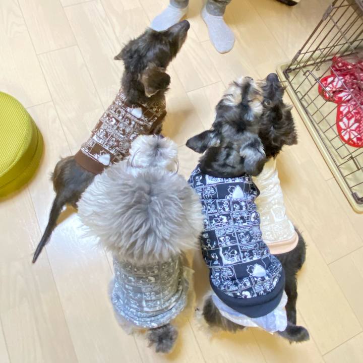 6defe9aa 3ccd 43b8 9349 2df3d747a966 1609519300727