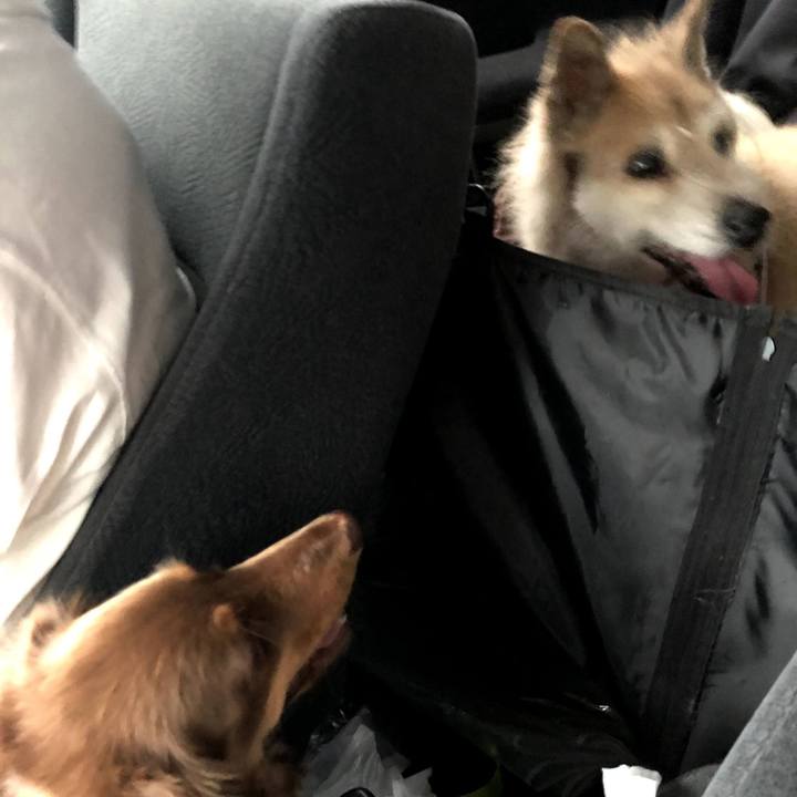 6df024b6 b124 485a a08a d286a3db7fcf 1624967159118