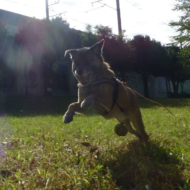 6df037d7 aa96 43f0 a97e 91524080affa 1579132850236