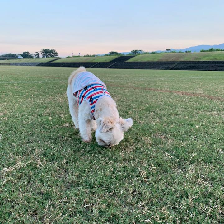 6df03fee c957 43be a93c a9960570fd89 1598015319906