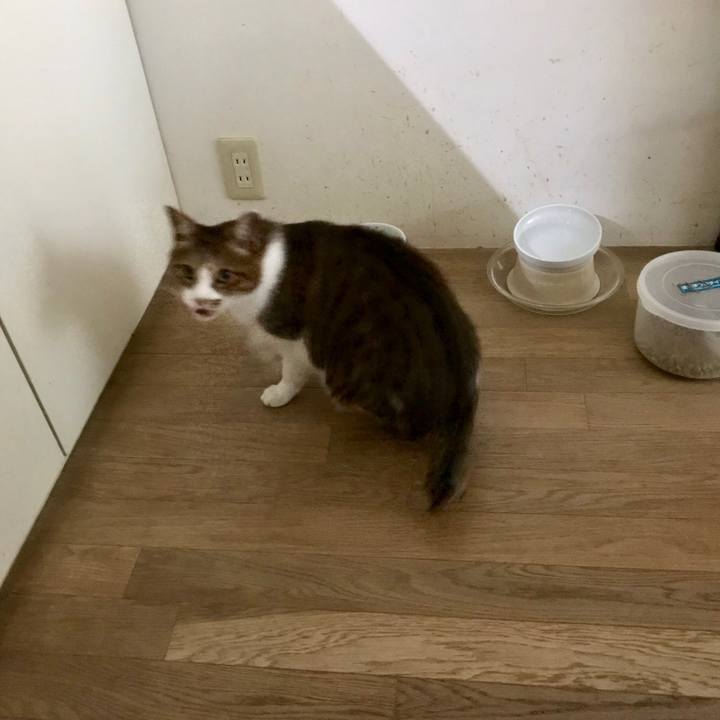 6df08d3a 8694 4e95 9dac 9c94e876cfef 1562904236732