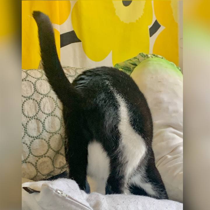 6df09e29 fbe9 4cef 842a ab12cce616d8 1680959266289