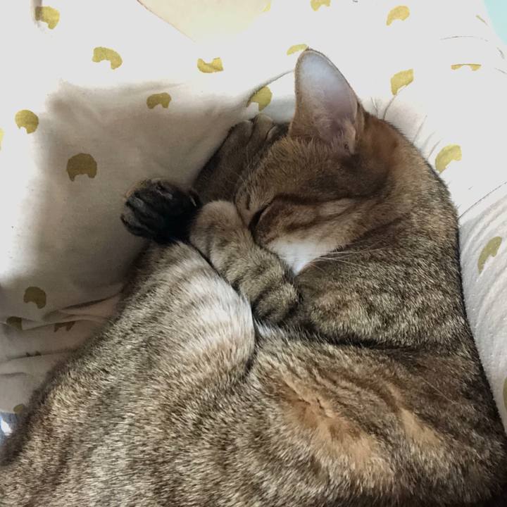 6df0a75e 7ed5 4d26 9256 5013f2c8aad5 1666694560423