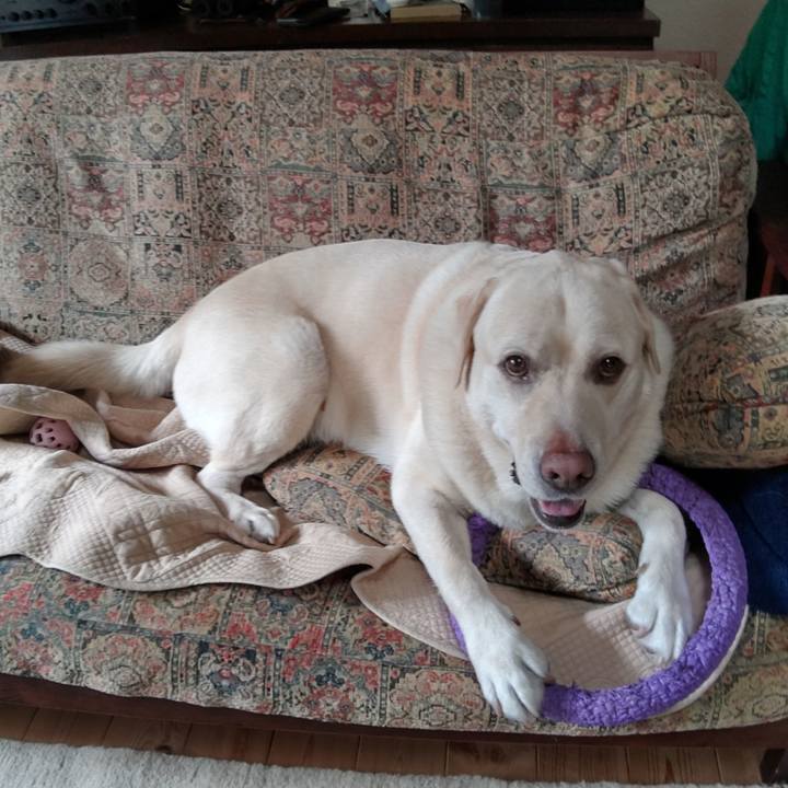 6df0b11a c89b 4cbc 85b9 0e13a9646073 1660707702915