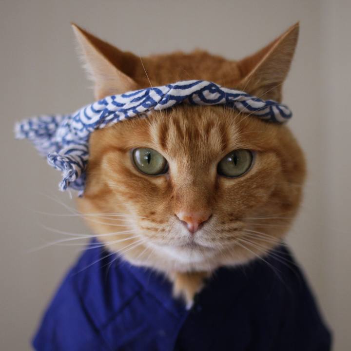 6df0b60d c4c3 4f08 a1d3 614e3cecbc96 1693363957355