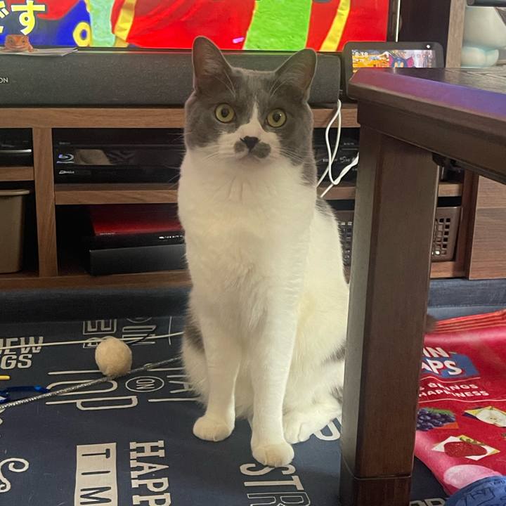 6df0cfc5 c0ff 434d a0cf 7954cf675e3c 1721950770447