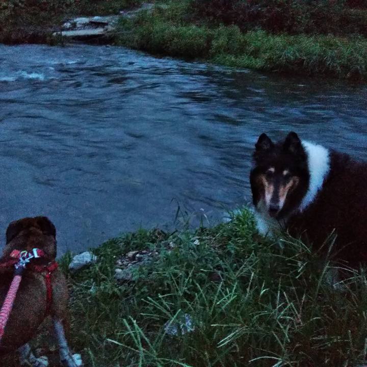 6df0d1c1 68d7 46af b453 cca10cb47686 1566390646293