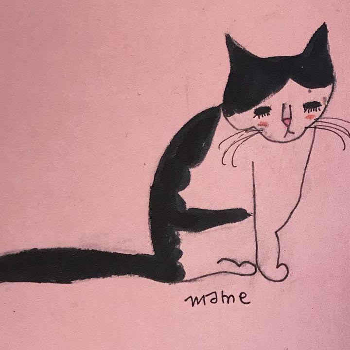 6df12d6f 9214 40e9 900b 861609a15256 1630323786668