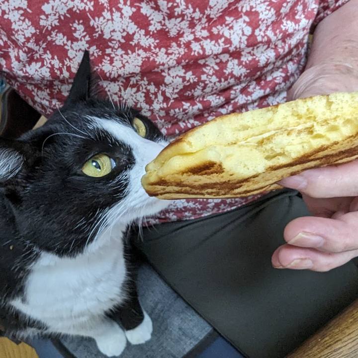 6df16eff 9927 4aa8 bab6 758befb78fec 1696130768976