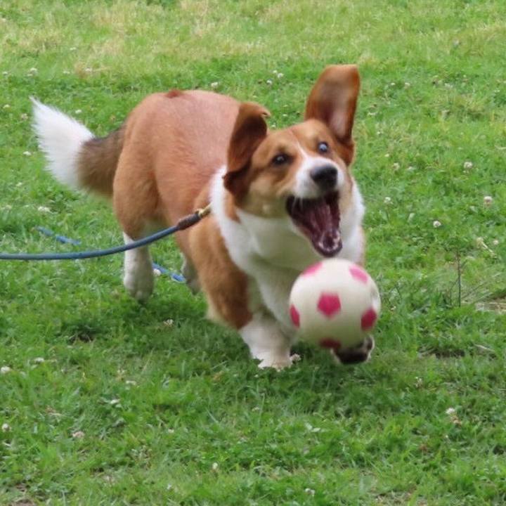 6df18e17 8897 497c 90e6 81af80d6e297 1622936270762