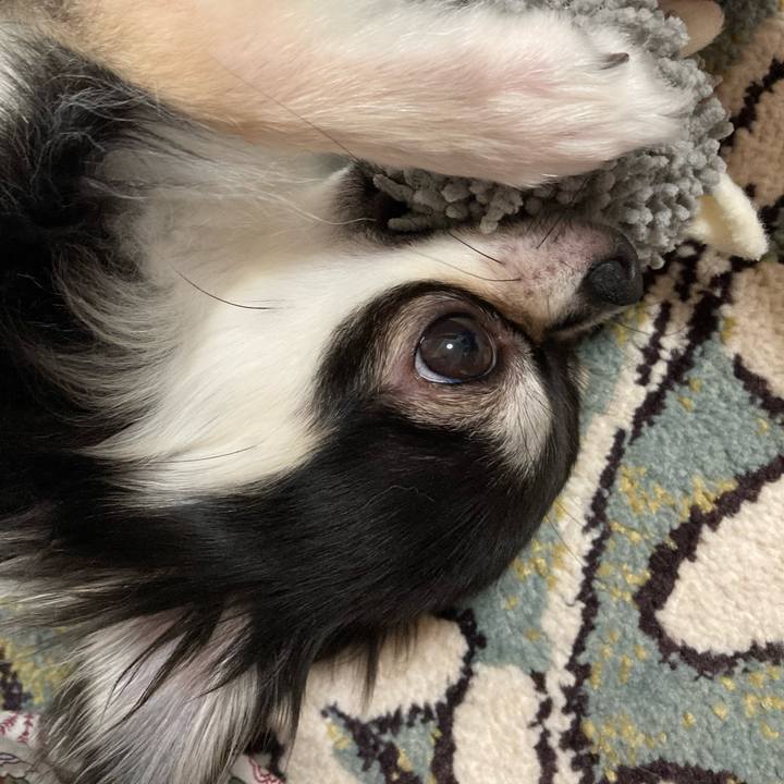 6df1a2ab 06e8 47c8 a628 345d6db0b2a4 1625375764761