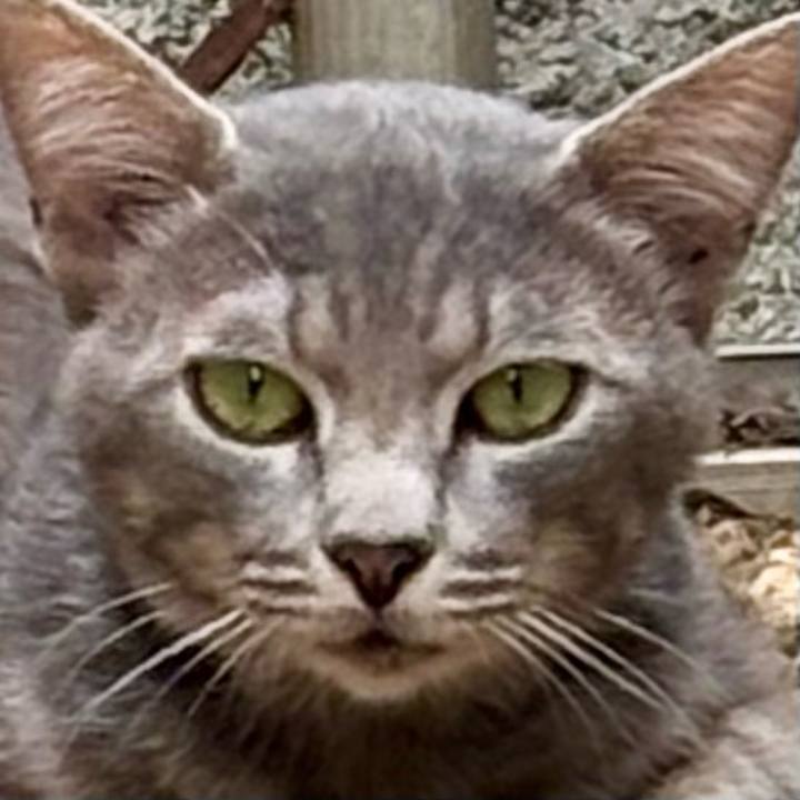 6df1a32c 85d8 4134 86df 3566fde5b910 1755343726760