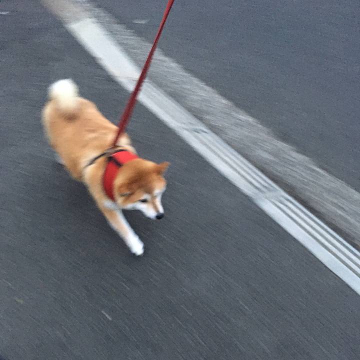 6df1bbc1 e2e4 4b08 acfd 7a075420250f 1600765285963