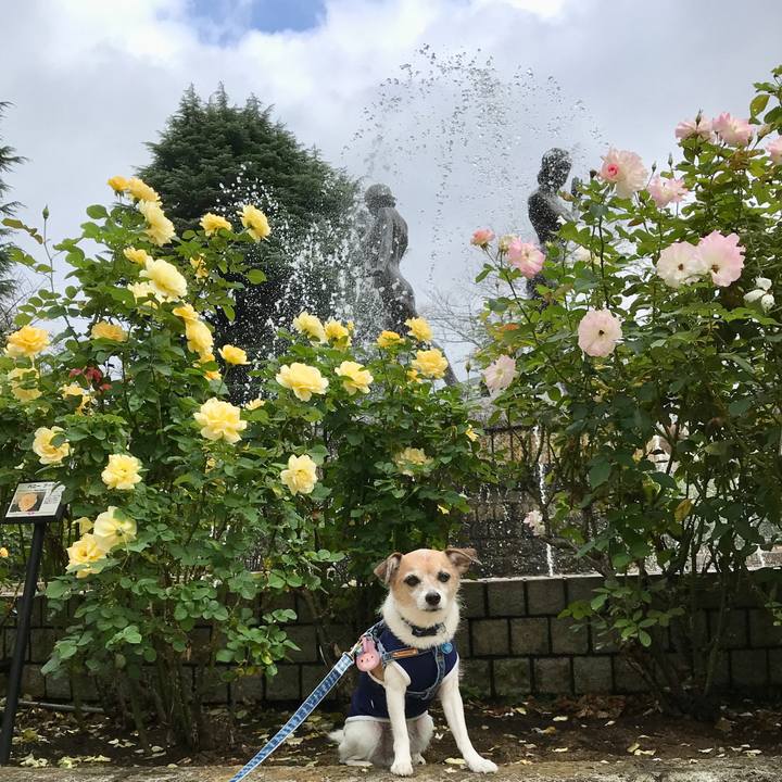 6df1eb99 cb7d 4c3a b07c cefa1259787a 1633756823459