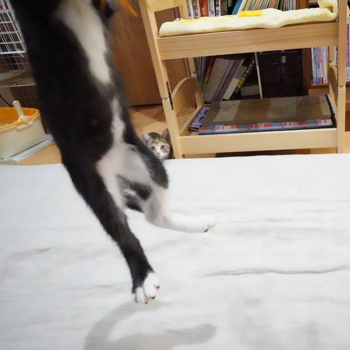 6df20627 d87c 480c a889 1ede20e203d6 1568209610748