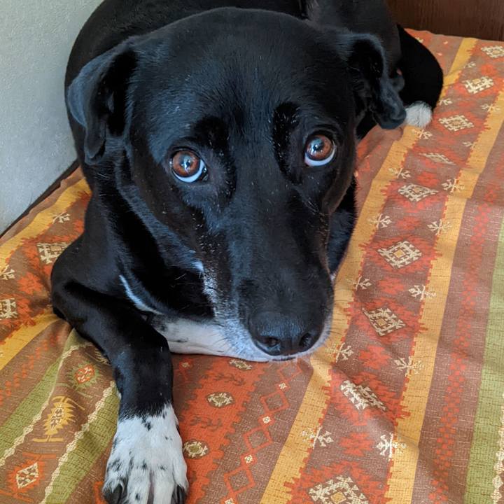 6df22283 e6c1 44cd bb7f 58bf054c535a 1662289044379