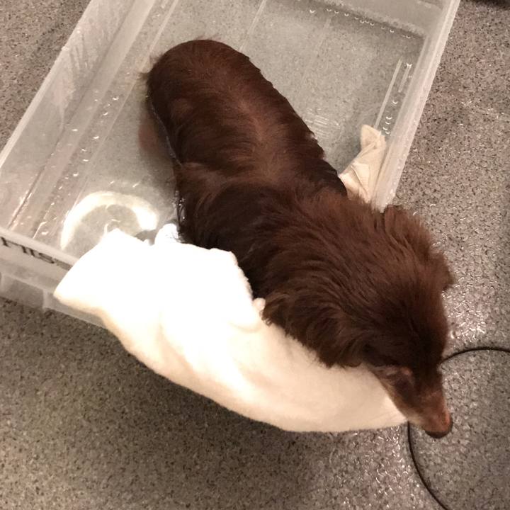 6df236de 28c2 4d90 9ae4 7cd1b5ca8c0a 1571458788151