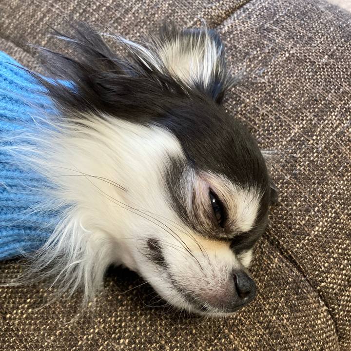 6df24c64 7702 45e7 8e5a e40f667bfcdd 1704693174843