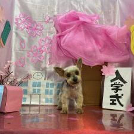 6df27949 c3d6 49df 931a 09b88cefd26b 1617628719594