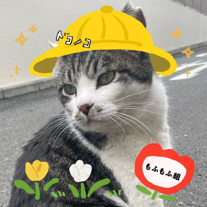 6df2dbe8 cf18 4fab a63b 5f0be3ace7a1 1712224250407