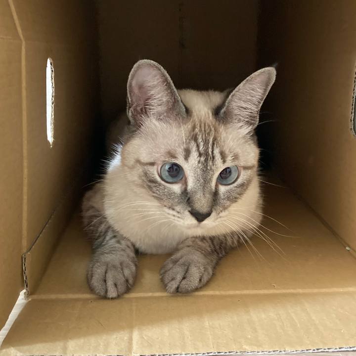 6df30227 35fa 489e 9cc4 39f5cd78c9ae 1600910069961