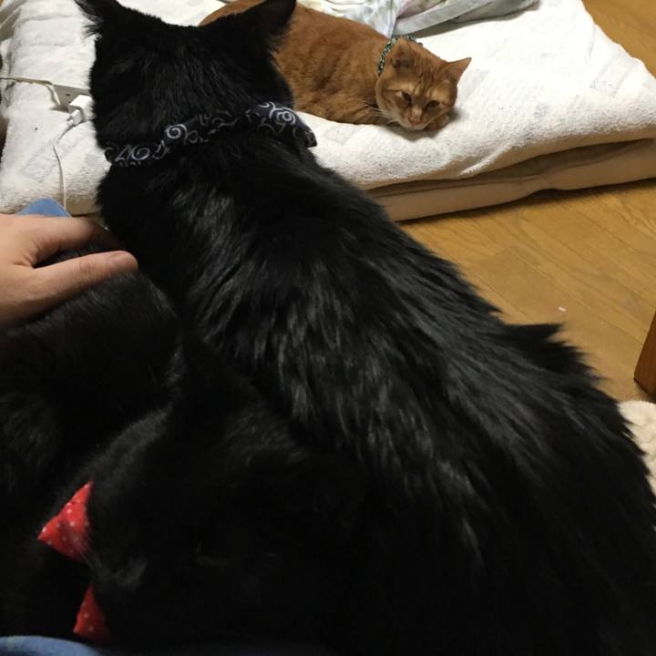 6df309cf 67ad 4275 9fff 2e0cb3844990 1549711074191