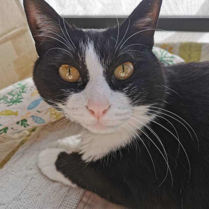 6df3207f aded 4ed3 94cf 5b4193e67706 1681021439069