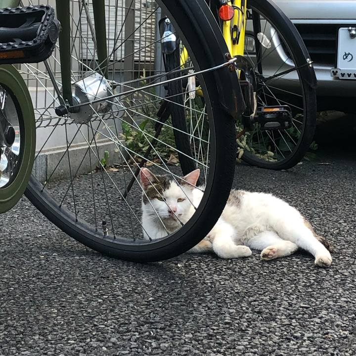 6df37fd0 b45a 4ca2 bb23 5d43b62ace9b 1568466176067