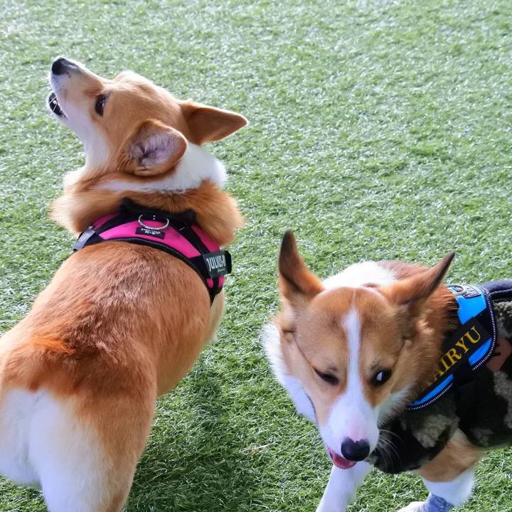 6df39991 2681 4c7e b457 579b3bad8966 1610356492457