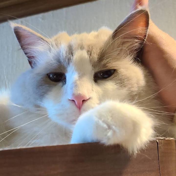 6df3c7cb 9b9e 4b89 bff5 31e7687bcc2f 1636187127978