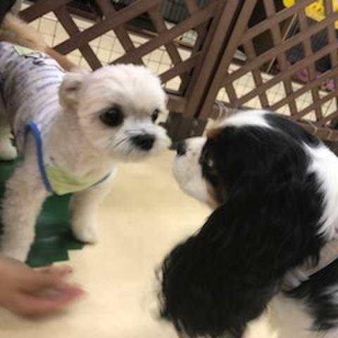 6df3e2b2 cab2 427b af81 ecb25c812395 1508239876009