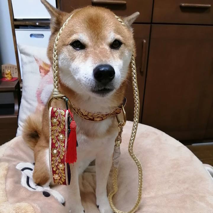 6df41310 7b0e 4dc7 9098 916b863facd4 1663994217599