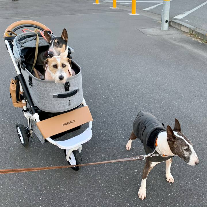 6df43eec 2005 4f6c 951b c742a0979379 1609756754998