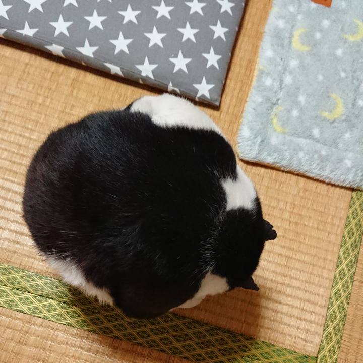 6df45c96 f01b 49ba 829a e0806ab03dec 1540603499510