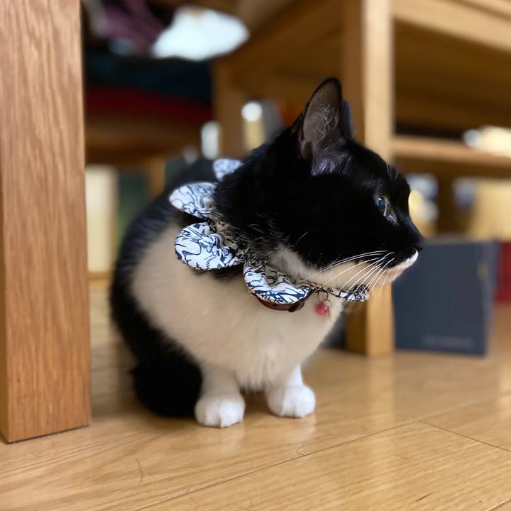 6df4630b b000 4644 a52b 9305c3d240ce 1640705395614